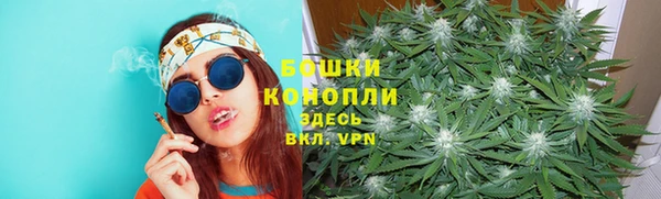 ешки Протвино