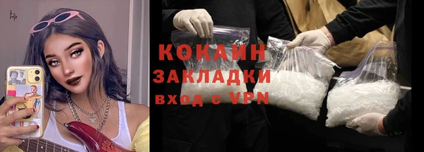 прущие грибы Абаза