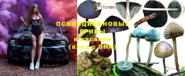 ешки Протвино
