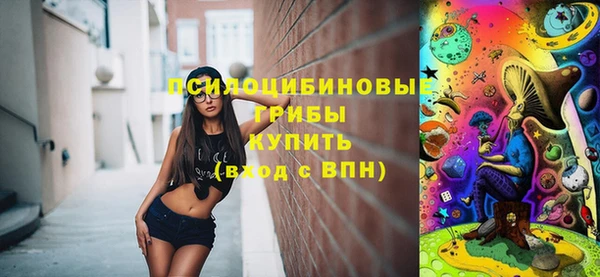 прущие грибы Абаза
