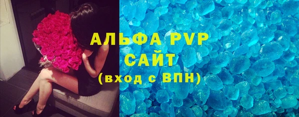 прущие грибы Абаза
