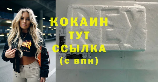 прущие грибы Абаза