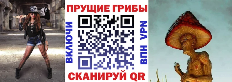 Псилоцибиновые грибы Psilocybine cubensis  где продают наркотики  Киренск 